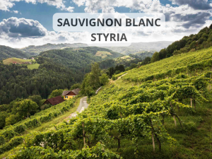 SAUVIGNON BLANC STYRIA WWW